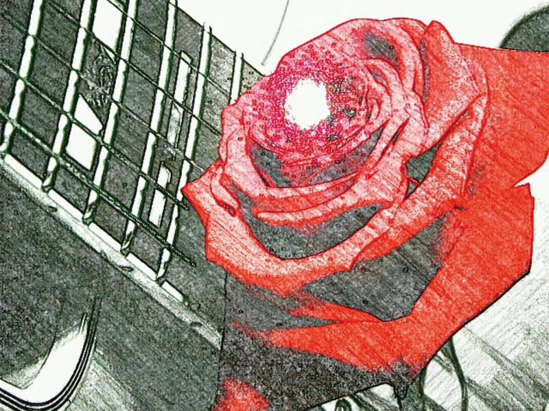 MANNI O. - Liebeslieder zum Valentinstag